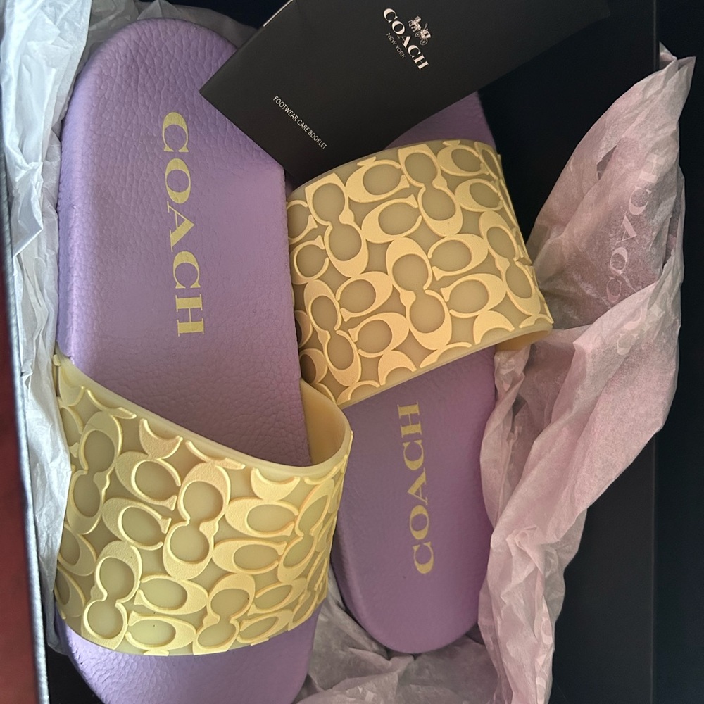 Coach slides